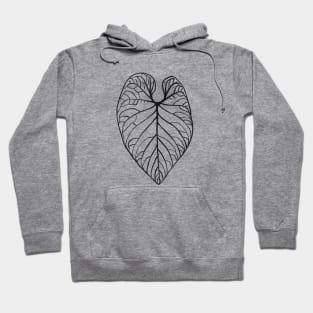 Anthurium regale Hoodie